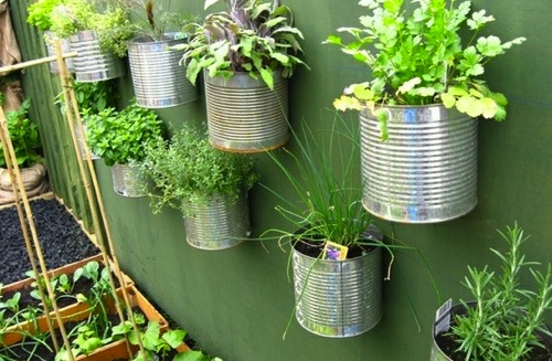 giardino verticale per spazi ristretti
