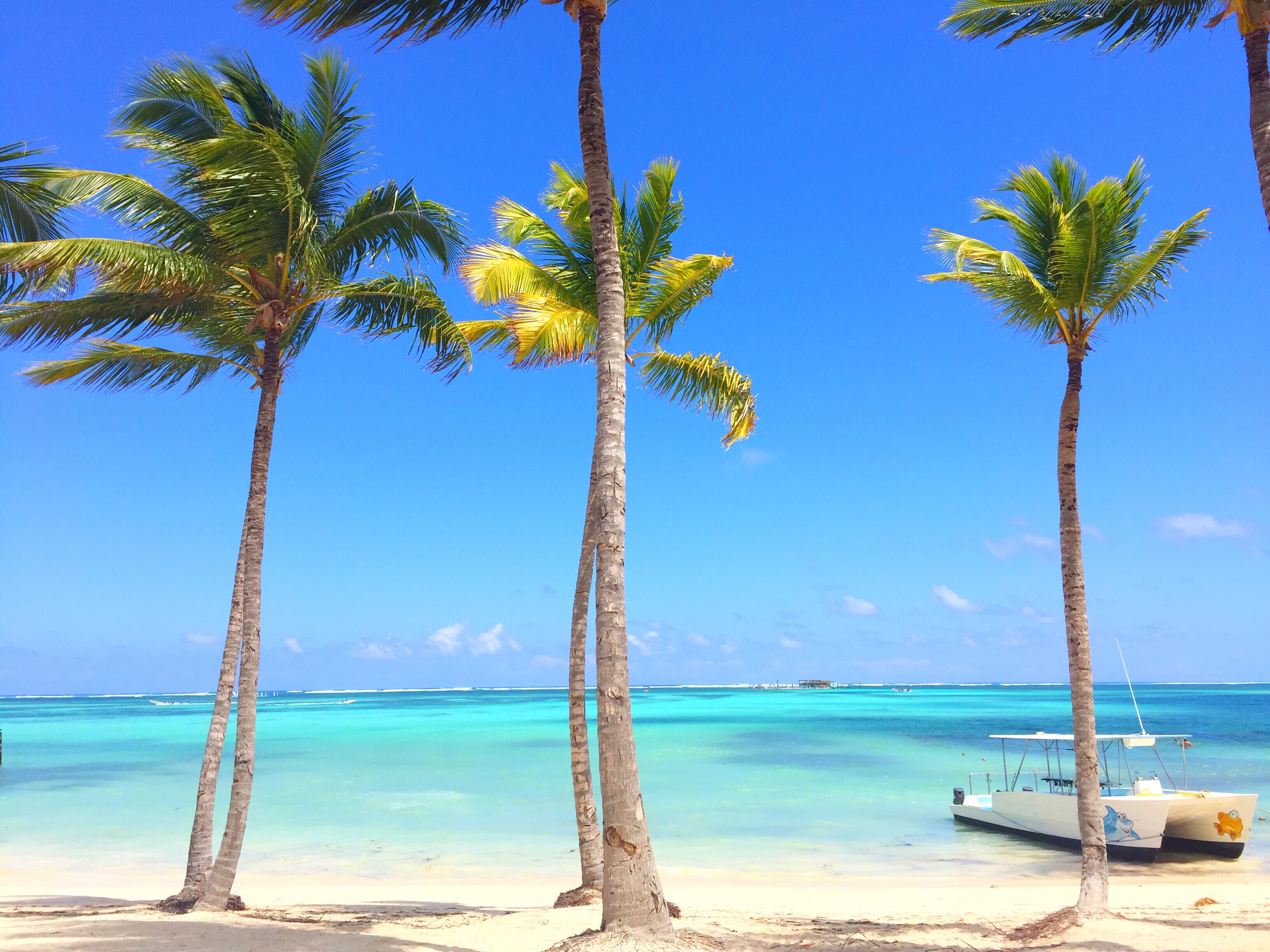 3 Reasons to Visit the Palm Beaches This Summer