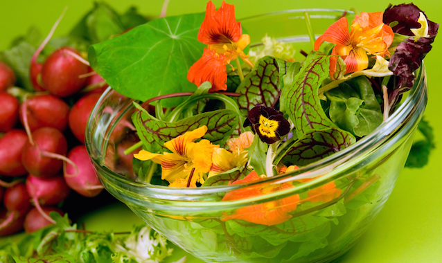 Edible Flowers Make a Beautiful and Tasty Salad
