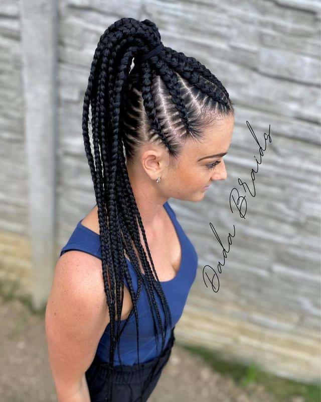 Braided Ponytails Look 1