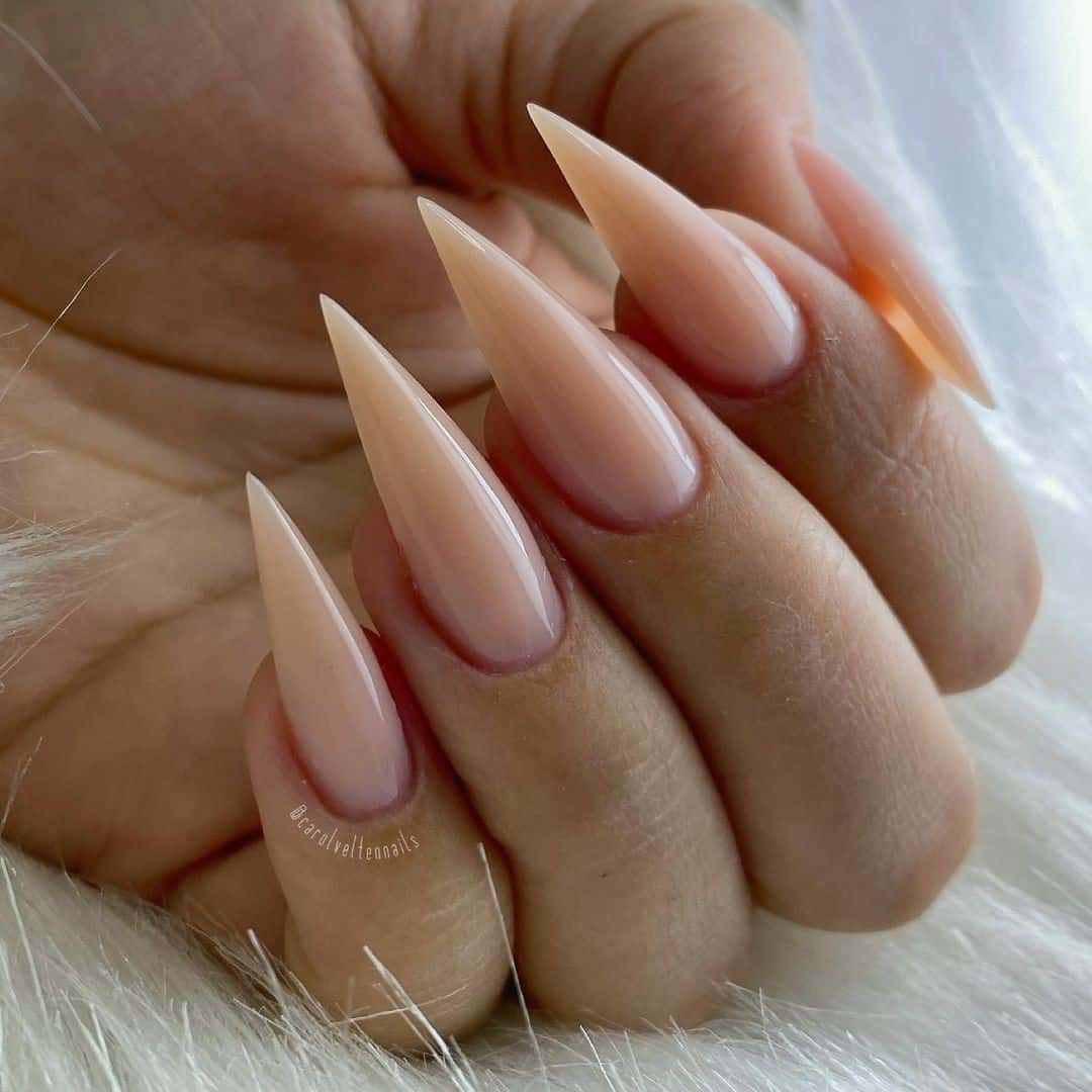 Feminine & Classy Nude Stiletto Nails 