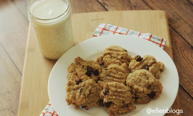 Healthy Oatmeal Chocolate Chip Cookie Recipe