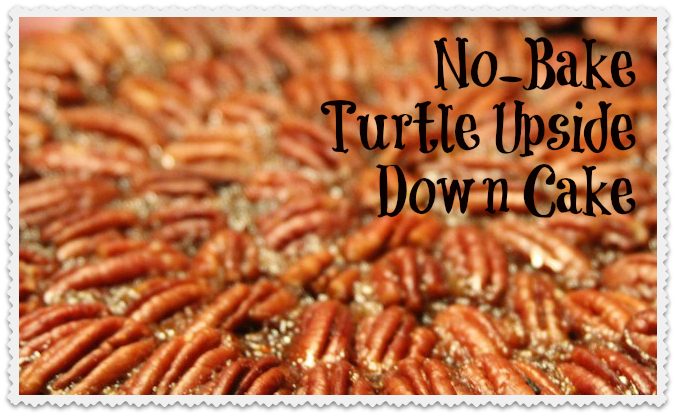 No-Bake Turtle Upside Down Cake