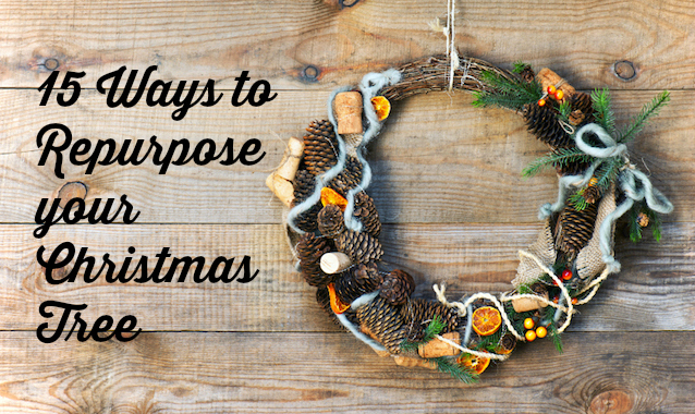 15 Fun Ways to Repurpose Your Christmas Tree