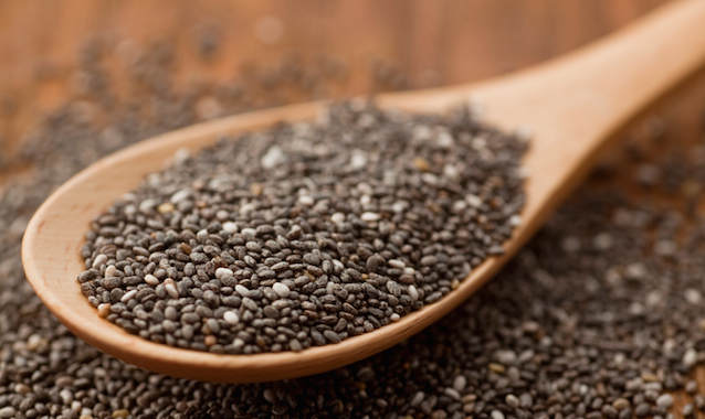 Chia Seeds – Now Your Pet is Considered a Healthy Food!