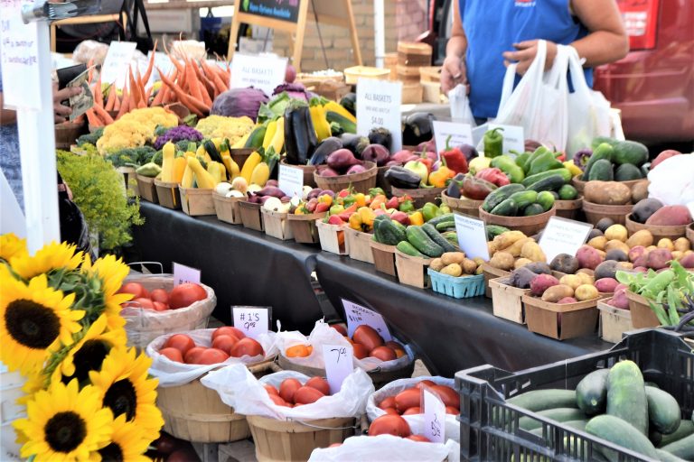 What to Do with Excess Garden Produce