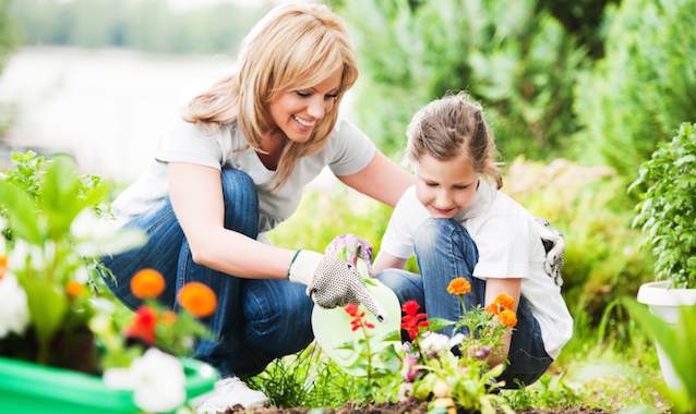 5 Tips to Save Money on Healthy Summer Foods