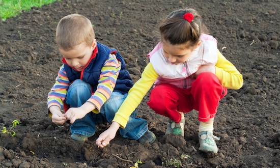 Autumn Gardening Tips For Frugal Families