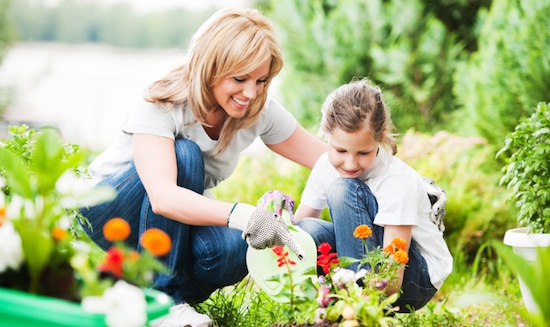 Grow Food Not Lawns!