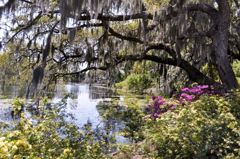 Boat, Kayak, and Hike the Scenic Louisiana Coast